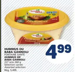 Marché Bonichoix FONTAINE SANTÉ HUMMUS OR BABA GANNOUJ FONTAINE SANTÉ offer