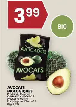 Rachelle-Bery Grocery ORGANIC AVOCADOS offer