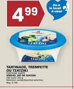 Rachelle-Bery Grocery FONTAINE SANTÉ SPREAD, DIP OR TZATZIKI offer