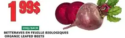 Marches Tau BETTERAVES EN FEUILLE BIOLOGIQUES offer
