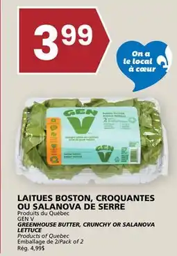 Rachelle-Bery Grocery GEN v GREENHOUSE BUTTER, CRUNCHY OR SALANOVA LETTUCE offer