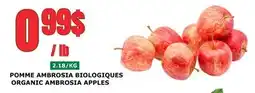 Marches Tau Pomme Ambrosia Biologiques offer