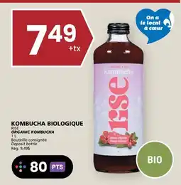 Rachelle-Bery Grocery RISE ORGANIC KOMBUCHA offer
