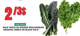 Marches Tau KALE VERTS OU NOIRES BIOLOGIQUES offer