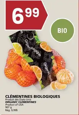 Rachelle-Bery Grocery ORGANIC CLEMENTINES offer