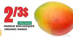 Marches Tau MANGUE BIOLOGIQUES offer