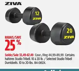 Canadian Tire ZIVA Selected Studio Tribell Dumbbells offer