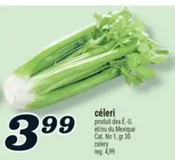 Marché Richelieu CÉLERI | CELERY offer