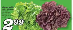 Marché Richelieu LAITUE EN FEUILLES VERTES OU ROUGES | GREEN OR RED LEAF LETTUCE offer