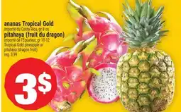 Super C ananas Tropical Gold | Tropical Gold pineapple offer