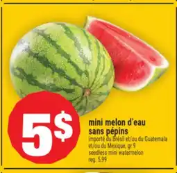 Super C MINI MELON D'EAU SANS PÉPINS |SEEDLESS MINI WATERMELON offer
