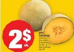 Super C gros cantaloup | large cantaloupe offer
