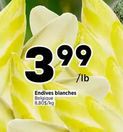 Val-Mont Endives blanches offer