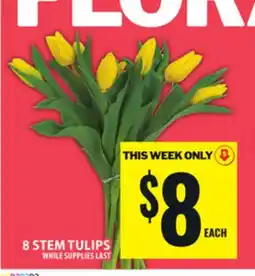Food Basics 8 STEM TULIPS offer