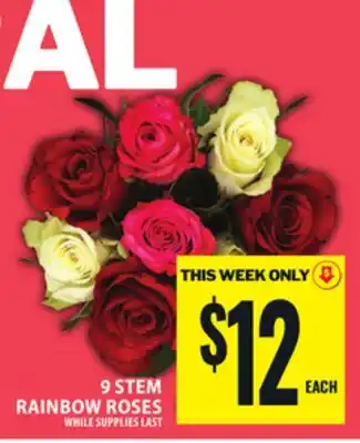 Food Basics 9 STEM RAINBOW ROSES offer
