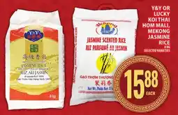 Food Basics Y&Y OR LUCKY KOI THAI HOM MALI, MEKONG JASMINE RICE offer