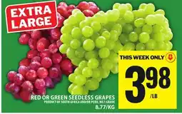 Food Basics RED OR GREEN SEEDLESS GRAPES offer