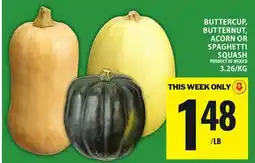 Food Basics BUTTERCUP, BUTTERNUT, ACORN OR SPAGHETTI SQUASH offer