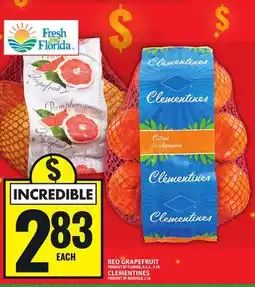 Food Basics RED GRAPEFRUIT, CLEMENTINES offer