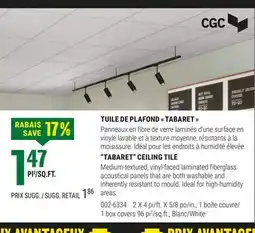 BMR TUILE DE PLAFOND  TABARET  offer