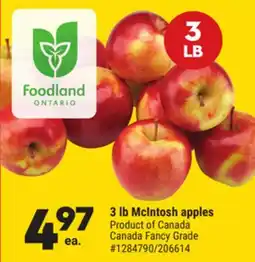 Giant Tiger 3 lb McIntosh apples offer