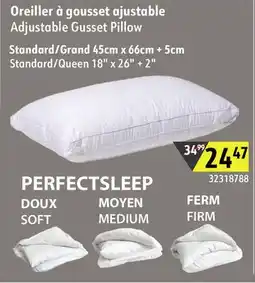 Sushi Shop Adjustable Gusset Pillow offer