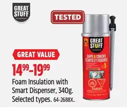 Canadian Tire Foam Insulation with Smart Dispenser offer