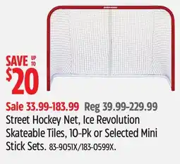 Canadian Tire Street Hockey Net, Ice Revolution Skateable Tiles, 10-Pk or Selected Mini Stick Sets offer