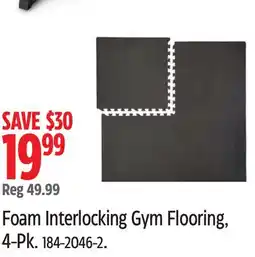 Canadian Tire Foam Interlocking Gym Flooring, 4-Pk offer