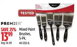 Canadian Tire Mixed Paint Brushes offer