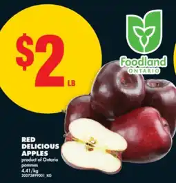 No Frills RED DELICIOUS APPLES offer