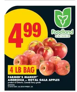 No Frills FARMER'S MARKET AMBROSIA or ROYAL GALA APPLES, 4 LB BAG offer