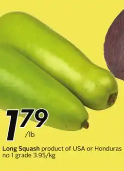 Sobeys Long Squash offer