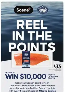 Sobeys TRUE NORTH Fresh Atlantic Salmon Fillets offer