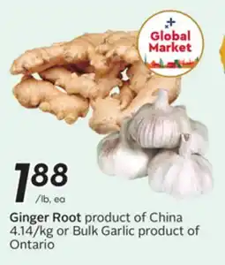 Sobeys Ginger Root offer