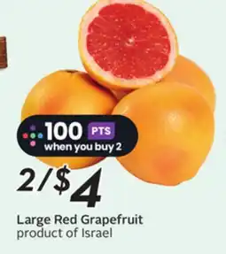 Sobeys Large Red Grapefruit offer