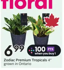 Sobeys Zodiac Premium Tropicals offer