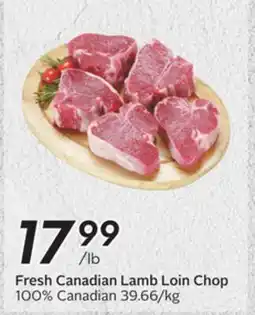 Sobeys Fresh Canadian Lamb Loin Chop offer