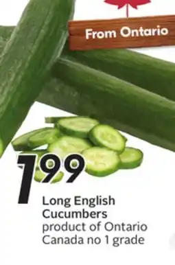 Sobeys Long English Cucumbers offer