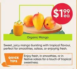 Healthy Planet Organic Mango offer