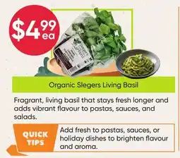 Healthy Planet Organic Slegers Living Basil offer