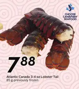 Sobeys Atlantic Canada 3-4 oz Lobster Tail offer