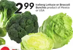 Sobeys Iceberg Lettuce or Broccoli Bunches offer