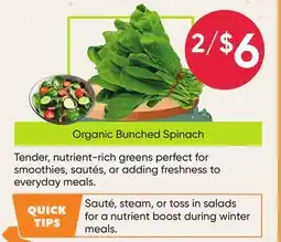Healthy Planet Spinach offer
