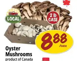 Farm Boy Oyster Mushrooms product of Canada offer