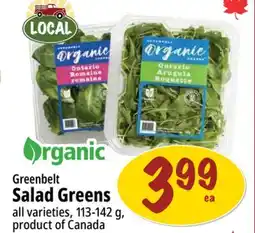 Farm Boy Greenbelt Salad Greens offer