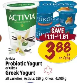 Farm Boy Activia Probiotic Yogurt or Oikos Greek Yogurt offer