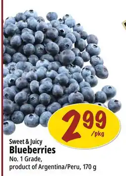 Farm Boy Sweet & Juicy Blueberries offer