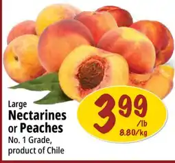 Farm Boy Large Nectarines or Peaches offer