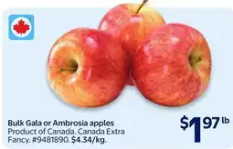 Walmart Bulk Gala or Ambrosia apples offer